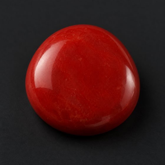 Japanese Red Coral
